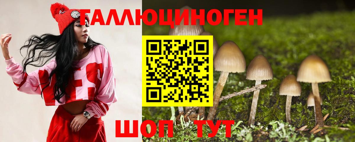 Новоалтайск  Галлюциногенные грибы Psilocybine cubensis  сколько стоит  Вход с VPN 